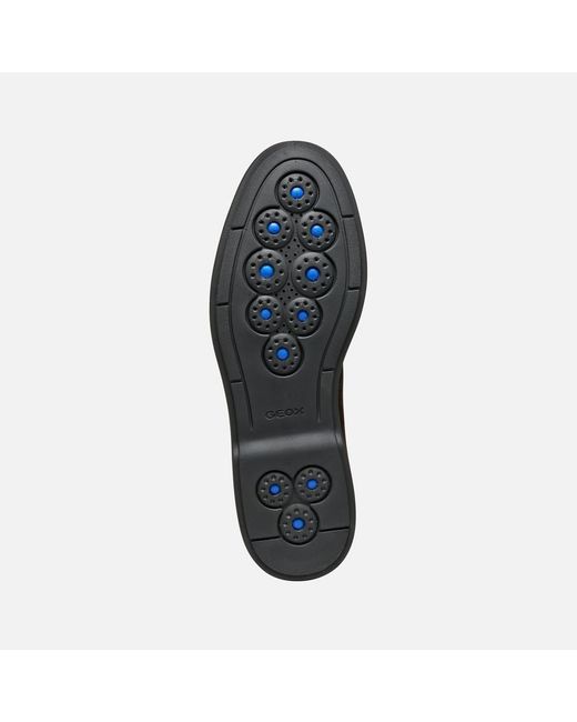 Geox Brown Spherica Ec17 for men