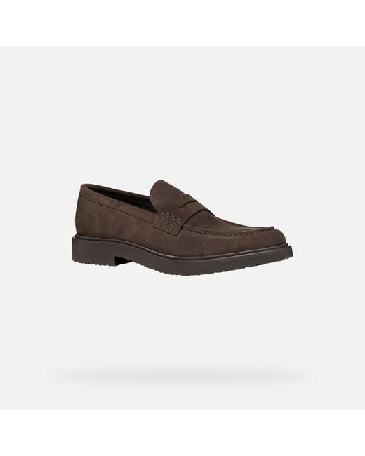 Geox Brown Massimiano for men