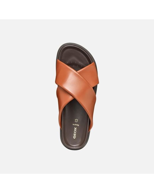 Geox Brown Adelash