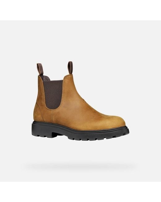 Geox Brown Spherica Ec7 B Ochre/Chocolate for men