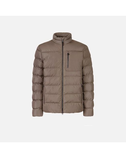 Geox Brown Snake 2.0 for men