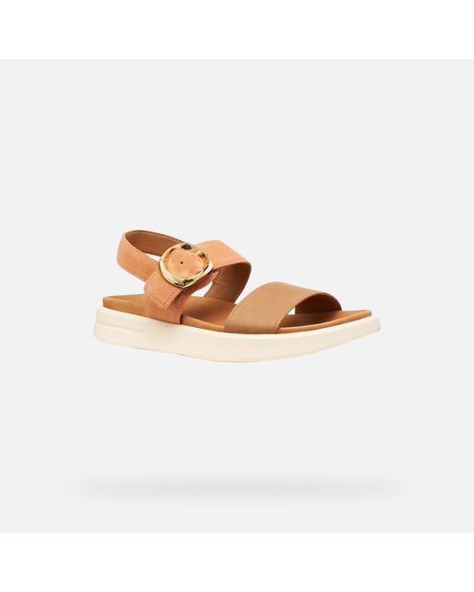 Geox Multicolor Xand 2S