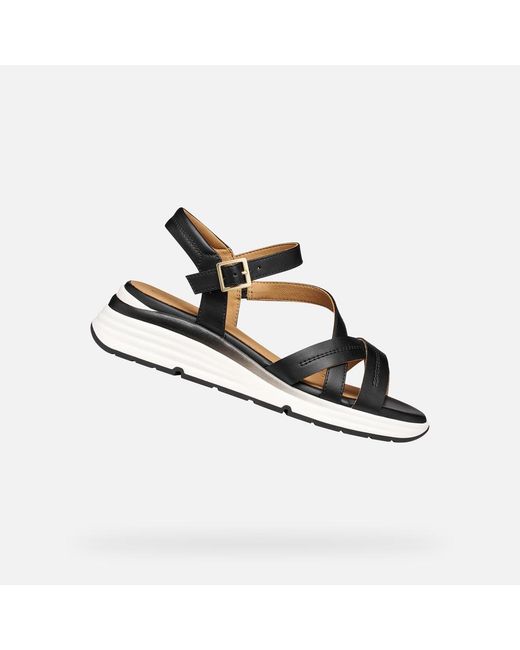 Geox Black Elowynne
