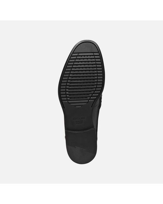 Geox Black Barberigo for men