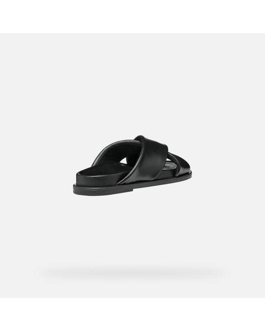 Geox Black Adelash