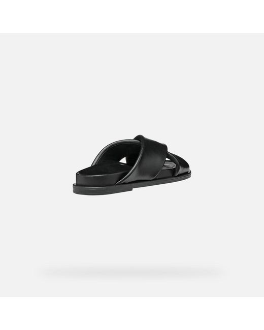Geox Black Adelash