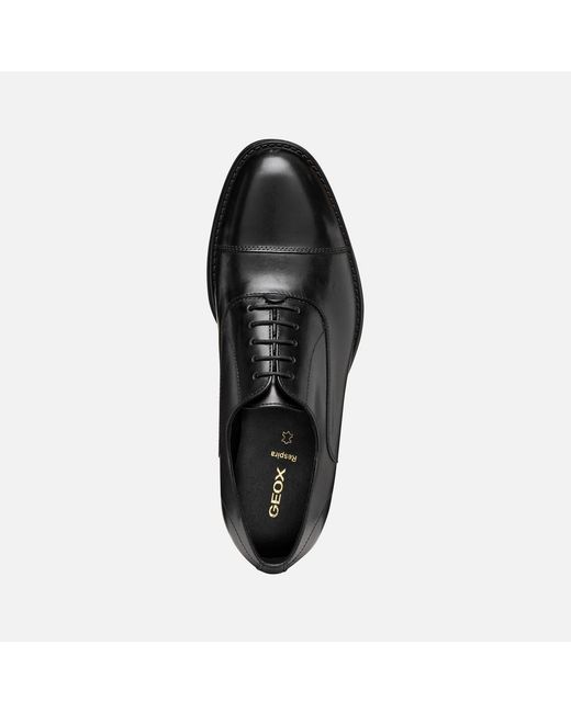 Geox Black Barberigo for men