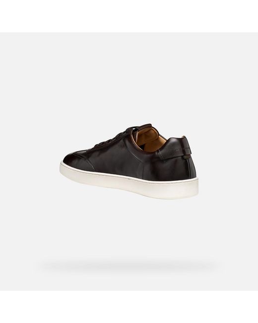 Geox Black Regio for men