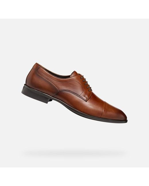 Geox Brown Thalos for men