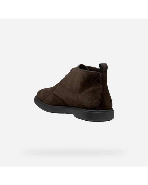Geox Brown Spherica Ec17 for men