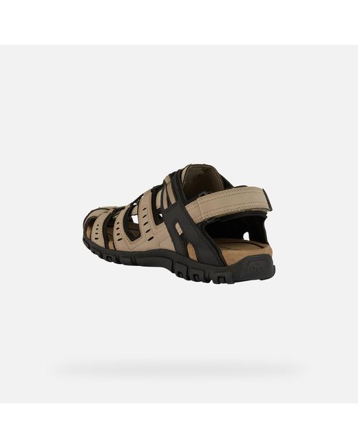 Geox Brown Strada for men