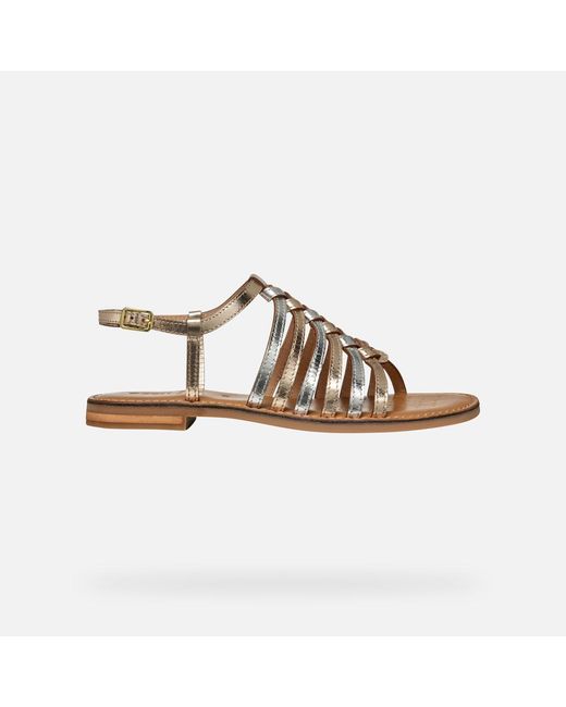 Scarpe Maddalusia C Donna di Geox in Brown