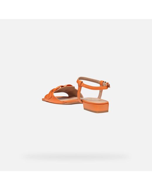 Scarpe New Eraklia 15 Donna di Geox in Orange
