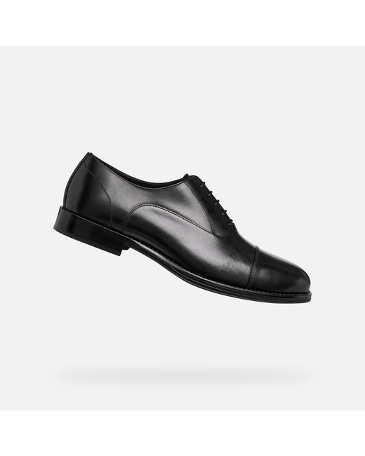 Geox Black Barberigo for men