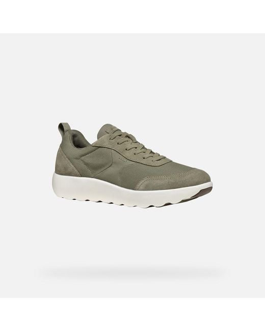 Geox Schuhe Xtors Herr in Green für Herren