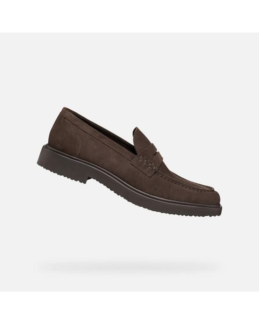 Geox Brown Massimiano for men