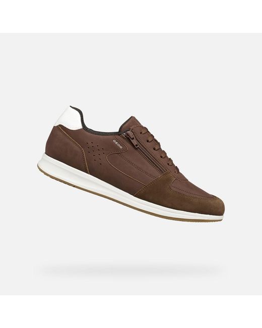 Geox Brown Avery for men