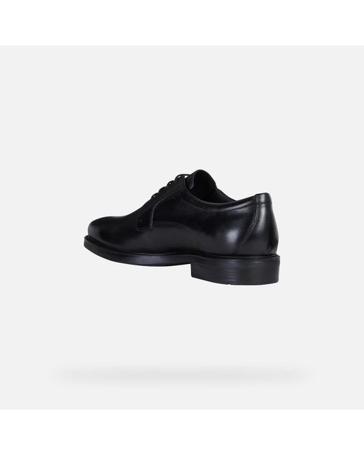 Geox Black Brandolf for men