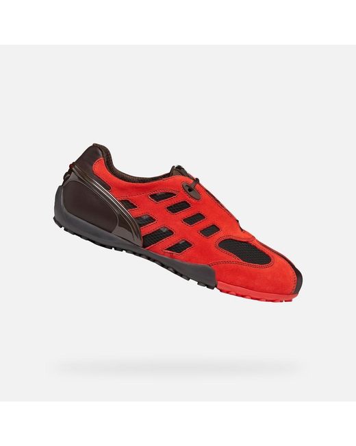 Geox Red Archive Snake for men