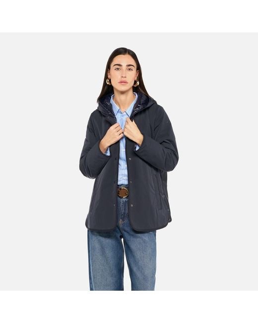 Geox Blue Plummery