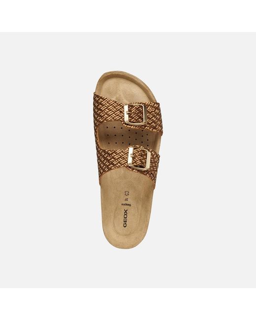 Geox Brown Brionia