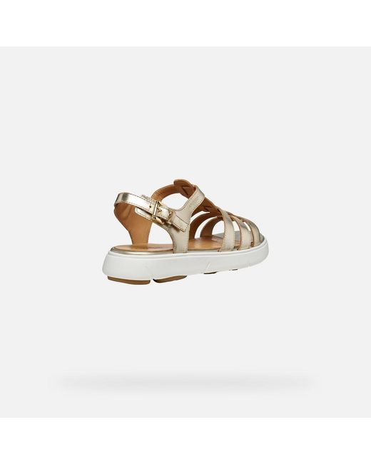 Geox Metallic Nebula 2.0 C S