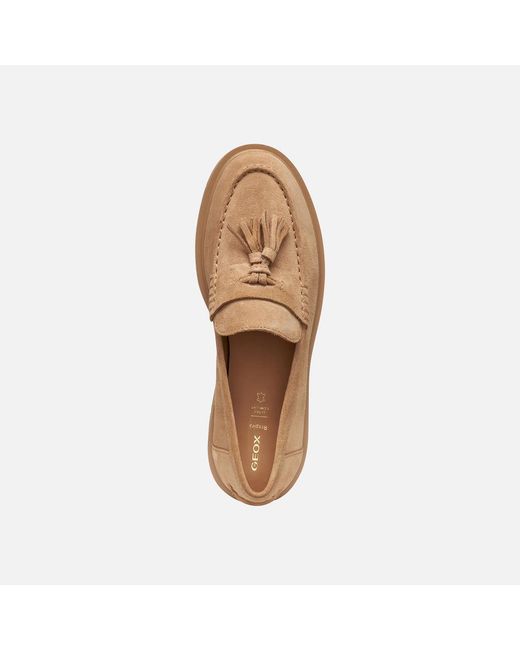 Geox Natural Spherica Ec1 B