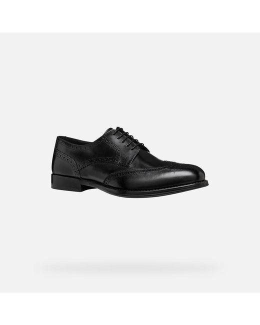 Geox Black Barberigo for men