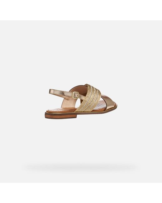 Geox Multicolor Sozy Plus