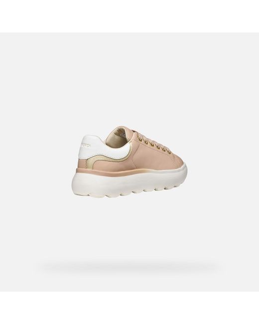 Geox Pink Spherica Ec4.1