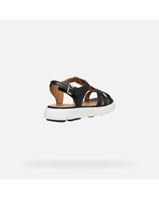 Geox Black Nebula 2.0 C S