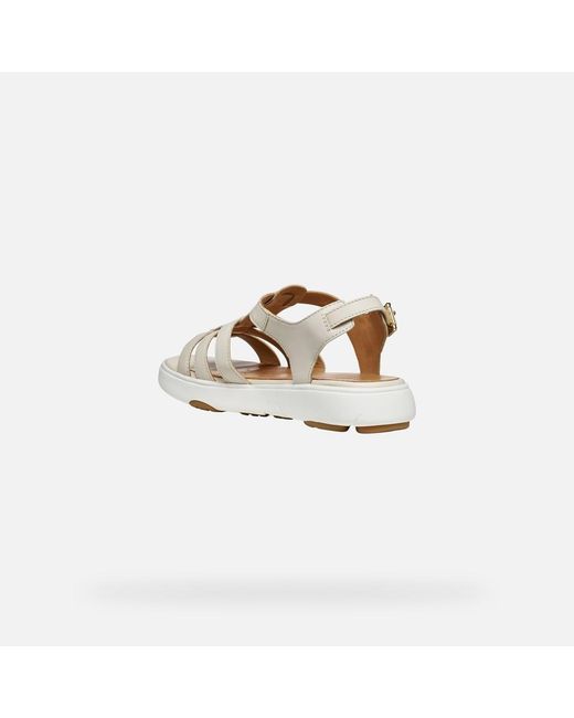 Geox White Nebula 2.0 C S
