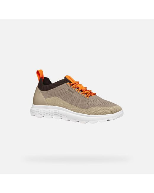 Geox Schuhe Spherica Herr in Brown für Herren