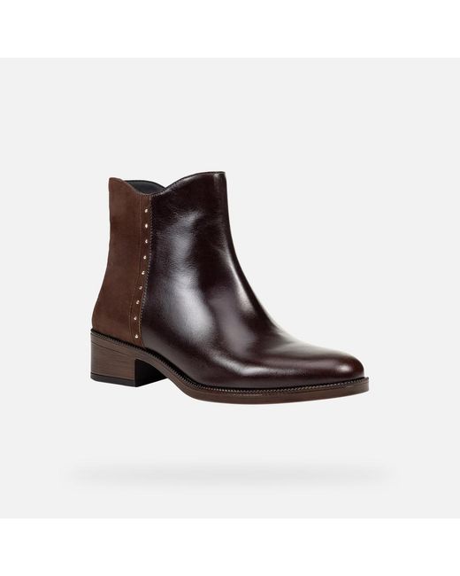 Geox Brown Camexia