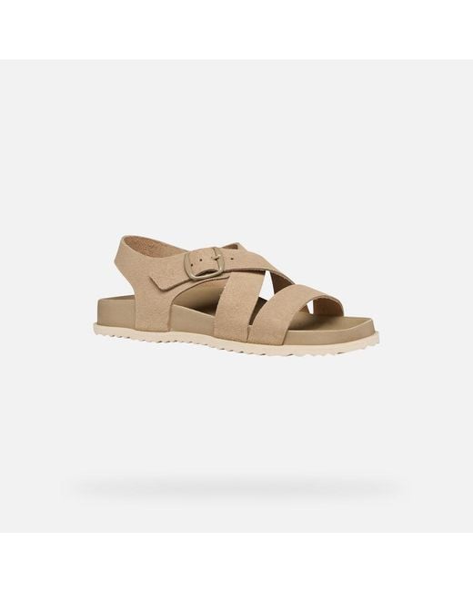 Geox Gray Sandybett