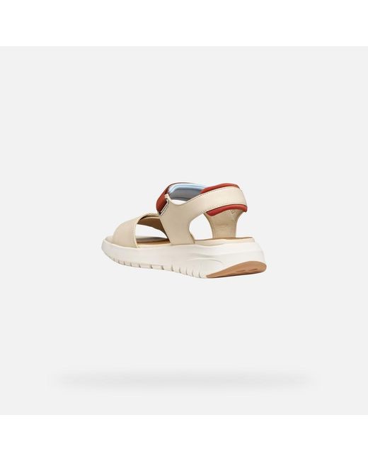 Geox Multicolor Flextride S