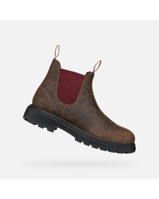 Geox Brown Spherica Ec7 B Coffee/Bordeaux for men