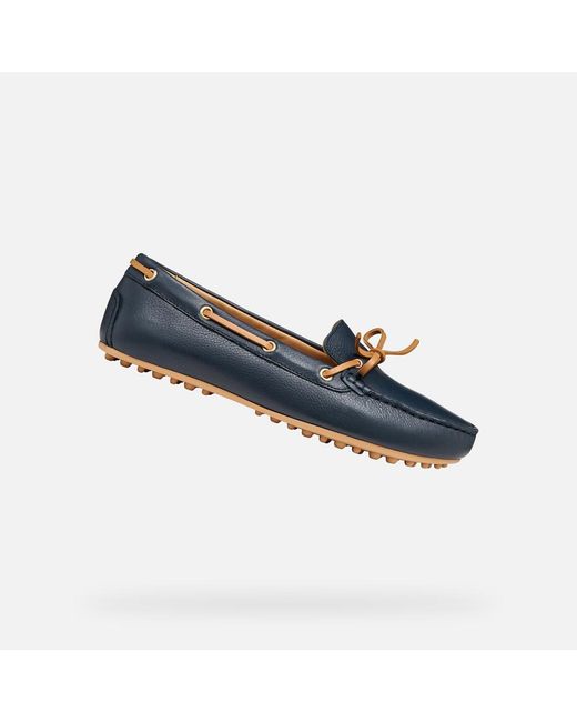 Geox Blue Kalistena