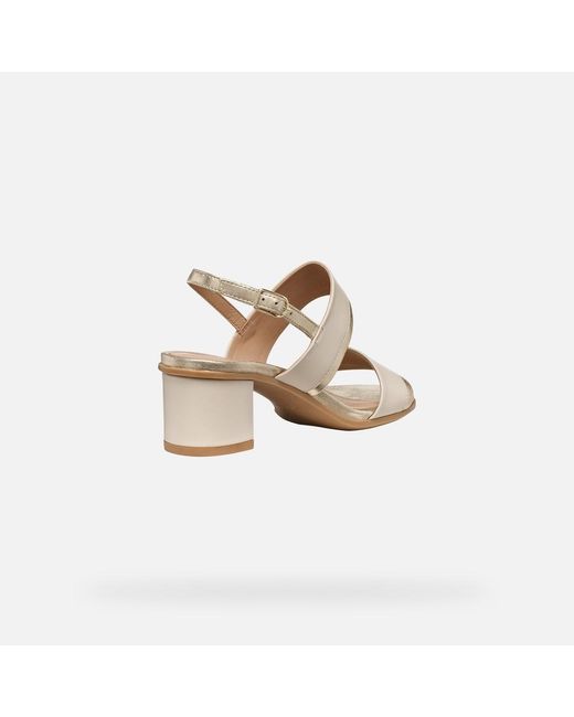 Geox White Aurely 50