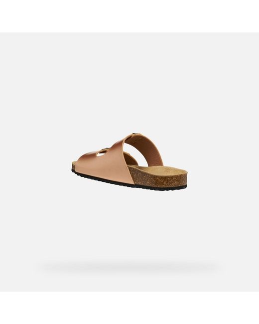 Geox Brown Brionia