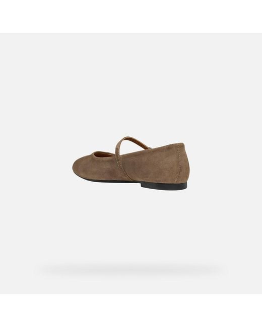 Geox Gray New Palmaria