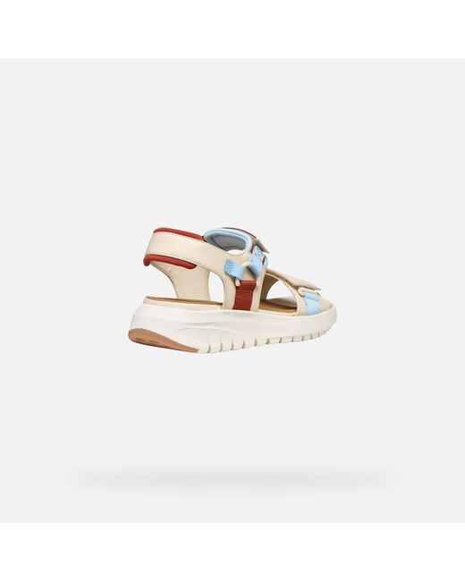 Geox Multicolor Flextride S