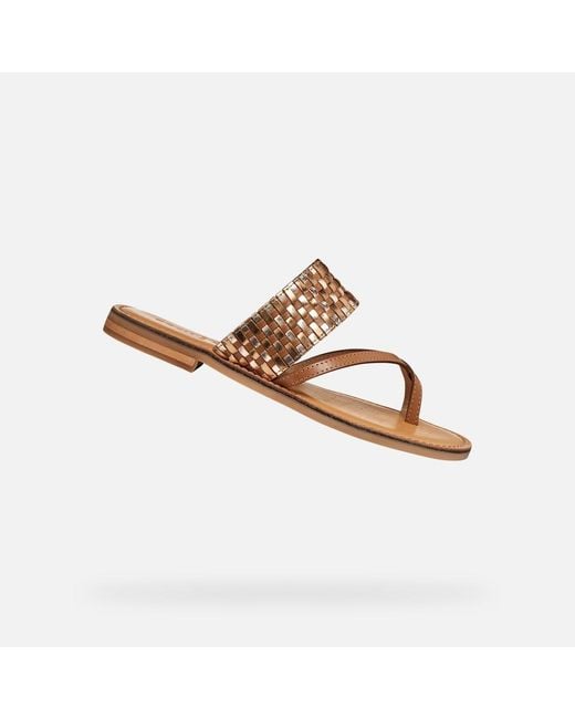 Geox Brown Maddalusia C