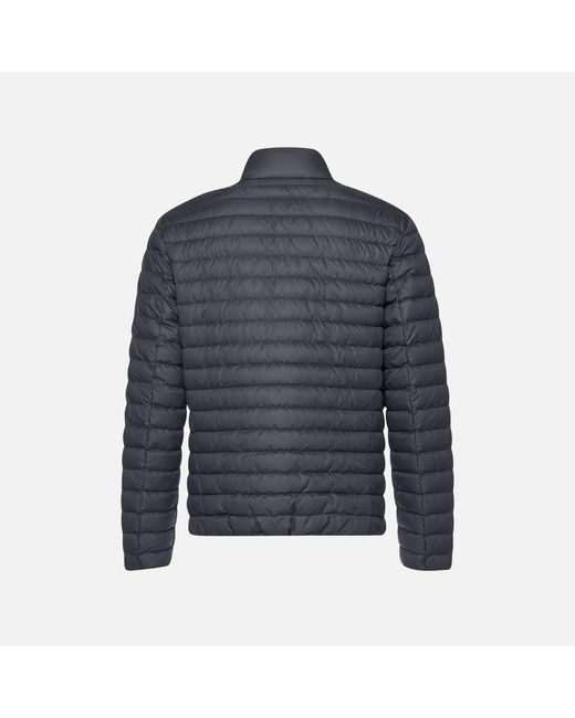 Geox Blue Warrens for men