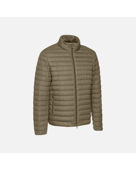 Geox Green Warrens for men