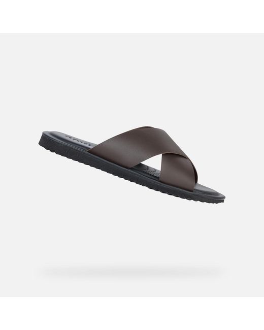 Geox Brown Erice for men