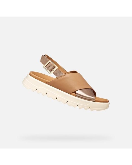 Geox Multicolor Xand 2.1S
