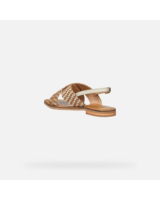 Scarpe Maddalusia C Donna di Geox in Metallic