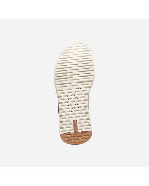 Geox Multicolor Flextride S