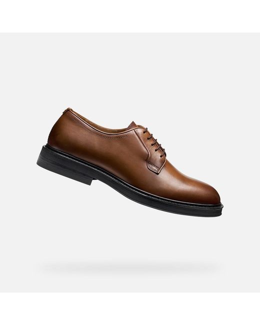 Geox Brown Capitale for men